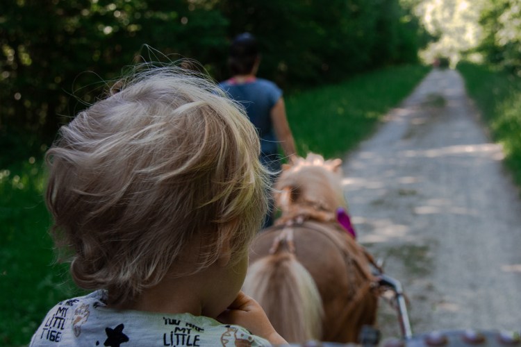 Isaac et Binky, le shetland